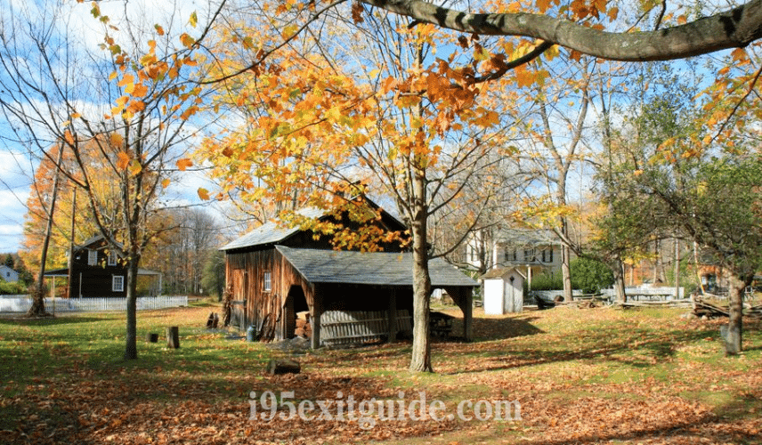 Delaware Fall Foliage | I-95 Exit Guide