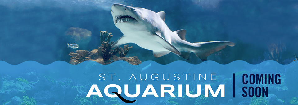 St. Augustine Aquarium | I-95 Exit Guide
