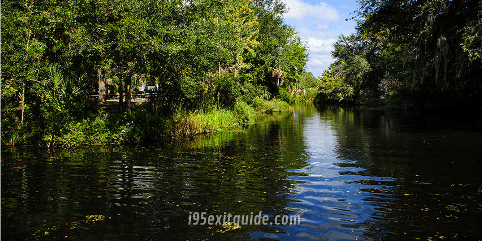 Homosassa Springs Wildlife Park | I-95 Exit Guide